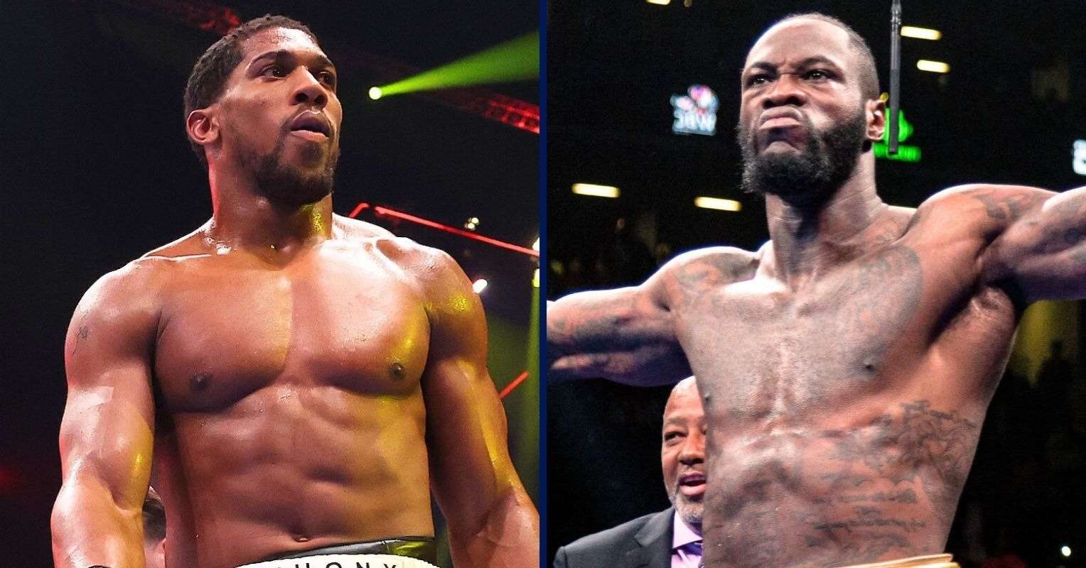 Johnny Nelson Has No Doubt Who Would Win A Deontay Wilder vs Anthony Joshua Fight